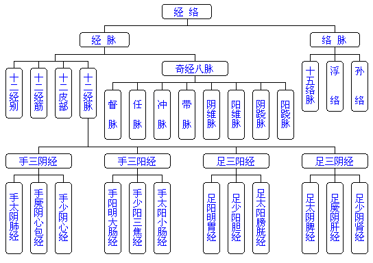 Image result for 經絡圖