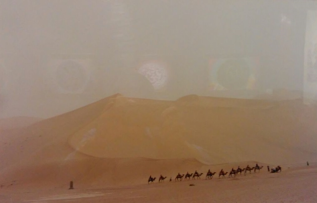 鸣沙山的骆驼队A